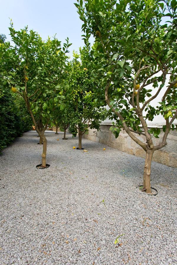 Boutique Rentals- Hidden Garden Porto'S Downtown Exterior photo